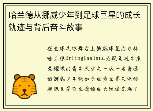 哈兰德从挪威少年到足球巨星的成长轨迹与背后奋斗故事